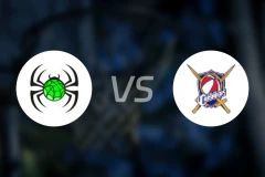 霍恩斯比蜘蛛vs中央海岸十字军比分预测【2026/03/28】