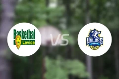 莱维切vs科希策狼队比分预测【2025/11/24】