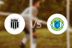 阿洛斯vs沙拜比分预测【2025/11/23】