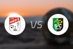 达利斯vs维兹比分预测【2025/11/01】