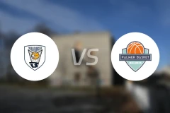 梅利利亚vs帕尔默比分预测【2025/11/24】