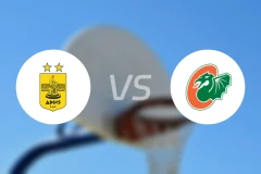 阿里斯vsKK切德维塔比分预测【2025/12/31】