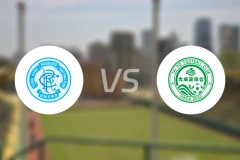 标准流浪vs大埔比分预测【2026/03/22】