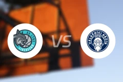 利贝雷茨山猫vs迪辛瓦列奇尼比分预测【2025/11/14】