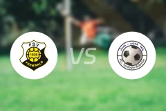 费瓦德vs图巴波尔海姆比分预测【2026/03/28】