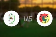 福琴vs史蒂夫比科比分预测【2026/03/06】