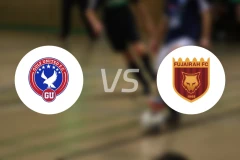 海湾联vs阿尔富伊拉比分预测【2025/11/01】