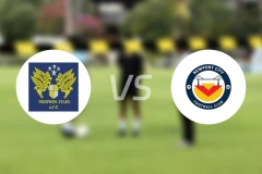 特奥温星队vs纽波特城比分预测【2025/11/29】