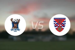 托顿vs达根汉姆比分预测【2025/11/29】