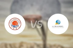 天津vs山东比分结果战报【2025/11/11】