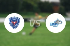 奇尔潘辛戈vs乌尔姆岛比分预测【2026/02/15】