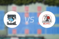 萨瑟兰德鲨鱼女篮vs梅特兰野马女篮比分预测【2026/04/11】