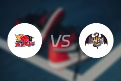 岩手大公牛vs山形飞龙比分预测【2025/11/22】