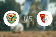 弗罗茨瓦夫斯拉斯克vs西德尔策比分预测【2026/04/05】