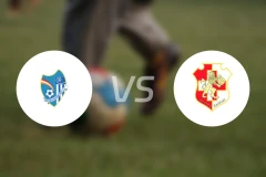 塔希恩vs纳沙尔狮队比分预测【2026/02/21】