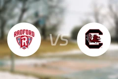 拉德福德大学vs南卡罗莱纳大学比分预测【2025/11/19】