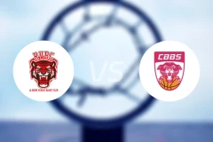 罗切文德女篮vs查内勃艮第南部女篮比分预测【2026/02/08】