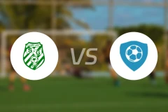 加贝申vs布舍哈曼比分预测【2025/11/02】