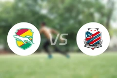 千叶市原vs札幌冈萨多比分预测【2024/08/21】