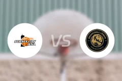 耶拿vs布伦瑞克比分结果战报【2026/04/15】