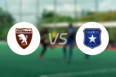 阿塞拉那vs佩格尼斯比分预测【2026/01/25】