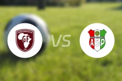 吉尼莱迅vs皮金比分预测【2025/12/30】