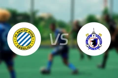 卡拉路夫vs多马日利采比分预测【2025/11/15】