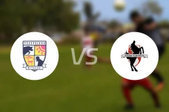 宫崎棒牛鸟vs熊本深红比分预测【2026/03/21】