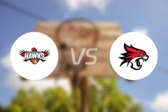 伊拉瓦拉老鹰vs珀斯野猫比分预测【2026/01/31】