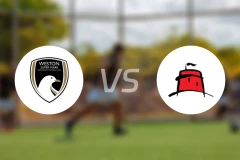 维斯顿vs东伯尼比分预测【2026/02/14】