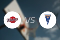 塔米斯vs兹拉蒂博尔比分预测【2026/03/14】