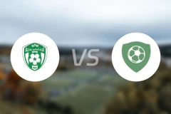 布哈杰拉vs保塞勒蒙比分预测【2026/03/29】