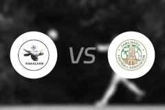 纳加兰vs泰米尔纳德邦比分预测【2026/01/25】