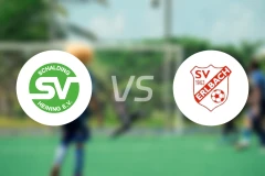 斯切丁喜宁vsSV埃尔巴赫比分预测【2025/10/25】