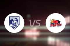 福井吹风vs岩手大公牛比分预测【2026/03/14】