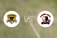 利奥帕德vs饿狮比分预测【2026/03/01】