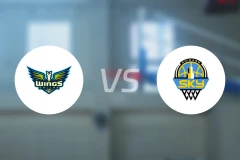 飞翼vs天空比分预测【2024/09/09】