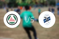 多洛米蒂贝卢诺vs莱科比分预测【2026/01/17】