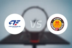 名古屋战鹰vs名古屋钻石海豚比分预测【2025/10/29】