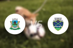 马尔提诺vs沙维斯B队比分预测【2026/01/17】