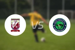 哈迪亚霍萨纳vs内格莱阿西比分预测【2025/12/07】