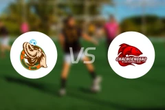 普卢克登联vs北柳高新比分预测【2026/01/18】