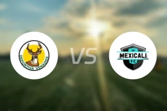 维纳多斯竞技vs墨西卡利比分预测【2025/11/16】