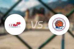 广东vs辽宁比分结果战报【2025/11/11】