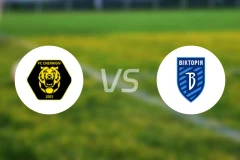 切尔尼夫vsFC维多尼古拉耶夫卡比分预测【2024/08/12】