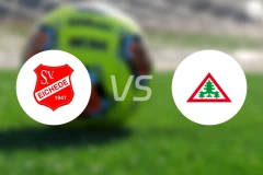 艾谢德vs霍恩韦斯特特比分预测【2026/03/08】