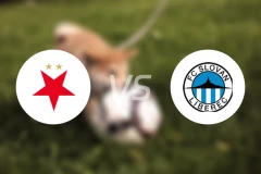 布拉格斯拉维亚U19vs利贝雷茨U19比分预测【2026/03/07】