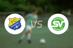 皮平斯里德vs斯切丁喜宁比分预测【2026/04/10】