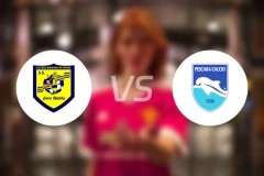 史泰比亚vs佩斯卡拉比分预测【2026/01/11】