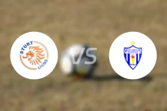 斯特尔特狮队vs西阿德莱德SC比分预测【2026/03/07】